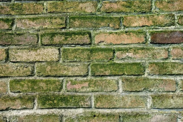raisons d'un problème d'humidité