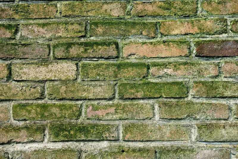raisons d'un problème d'humidité