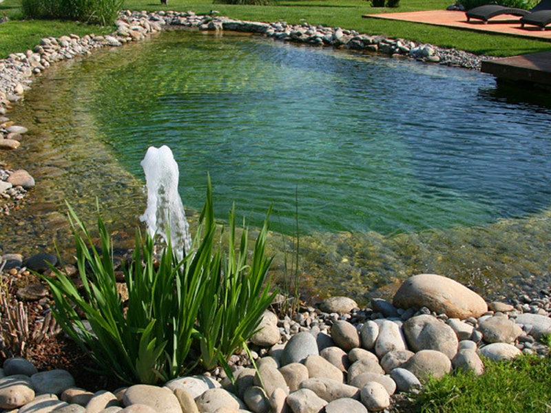 Mise en place de piscine naturelle