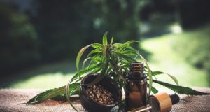 consommer du CBD