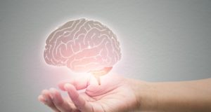cerveau et THC