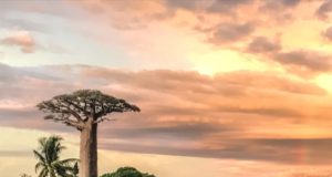 Madagascar