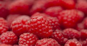 Raspberry Ketone