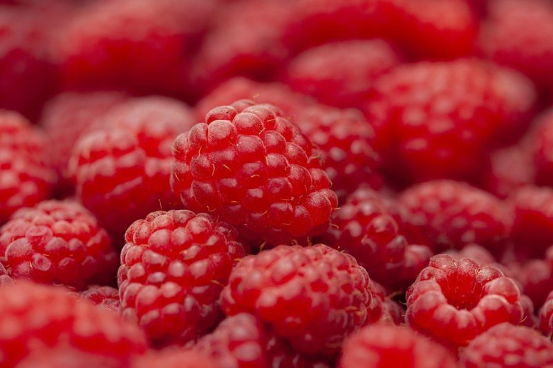 Raspberry Ketone