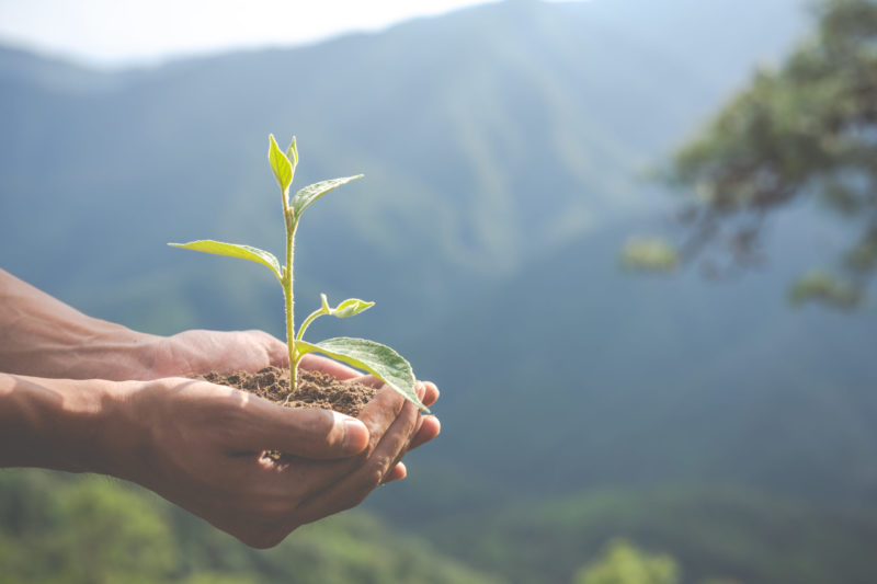 comportement et environnement