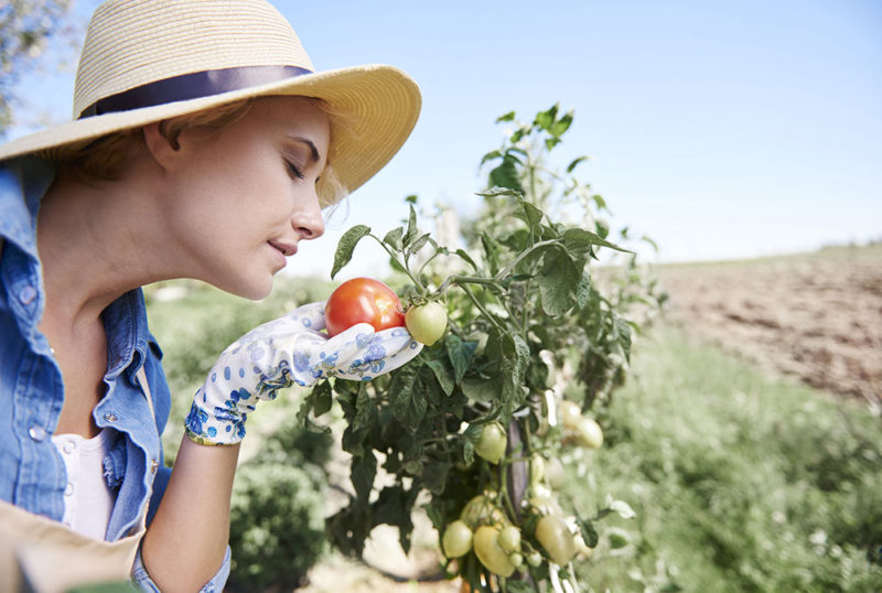 créer son potager