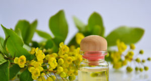 huiles essentielles bio