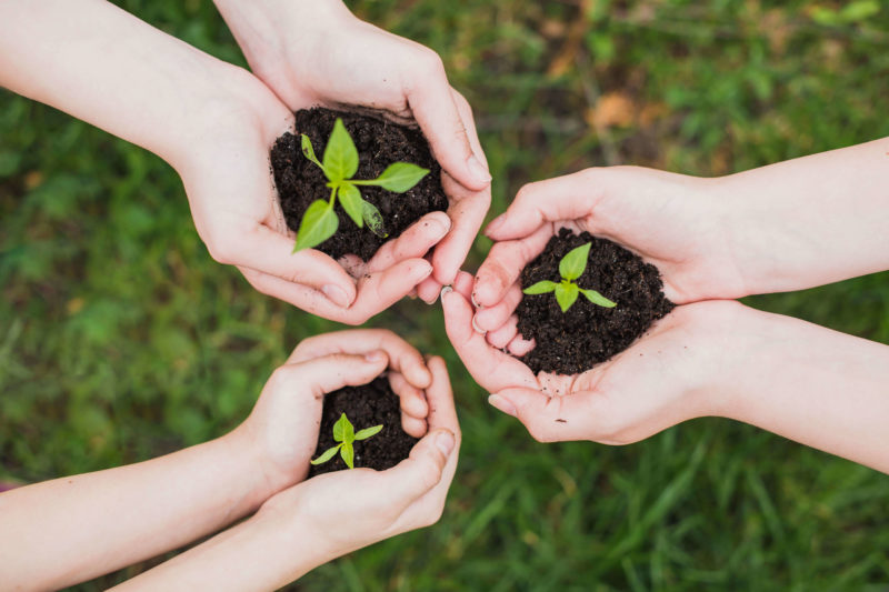 préserver l'environnement