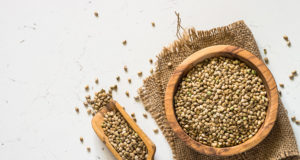 graines de cannabis