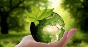 environnement