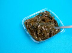 d'algues comestibles