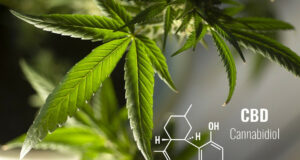 Pourquoi consommer du CBD au quotidien ?