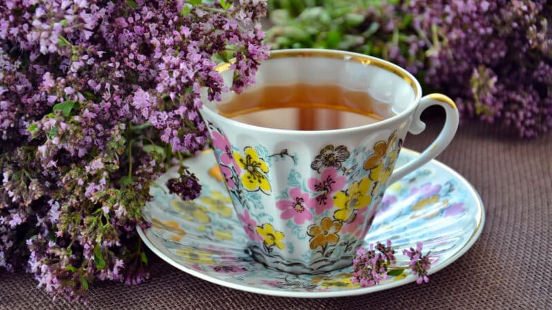 Comment bien choisir ses plantes pour faire une tisane ?