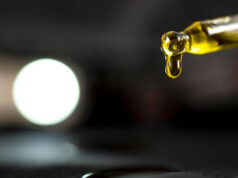 Comment obtenir l’huile de CBD ? 