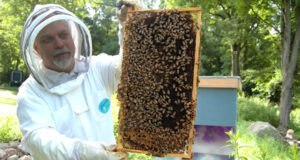 métier d'apiculteur