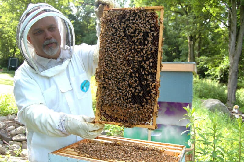 métier d'apiculteur
