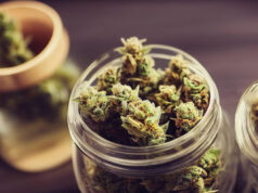 fleur CBD concentré