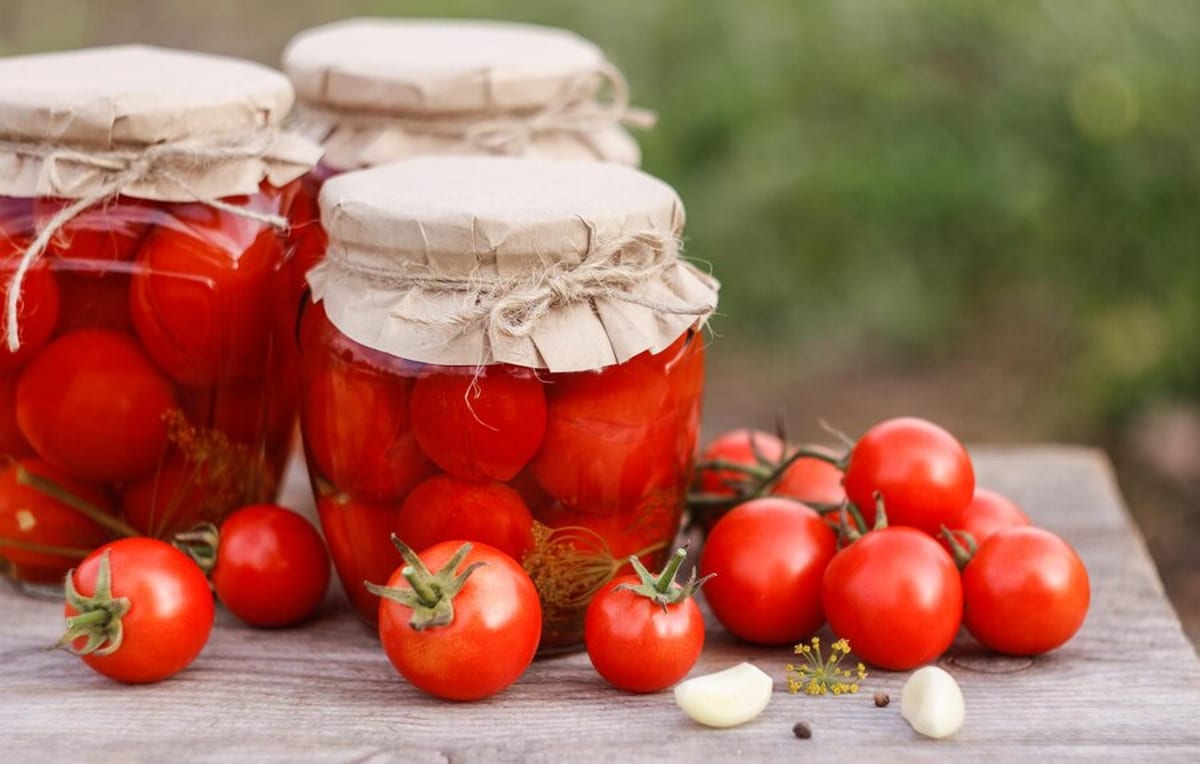 Conserve tomates