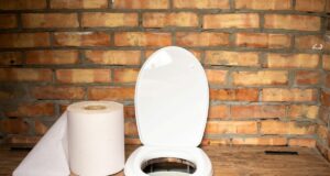 Toilette sèche