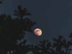 phase de lune