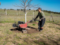 travaux jardin
