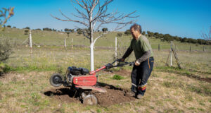 travaux jardin