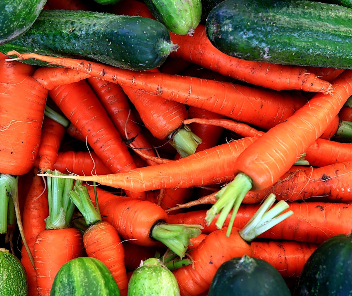 alimentation bio