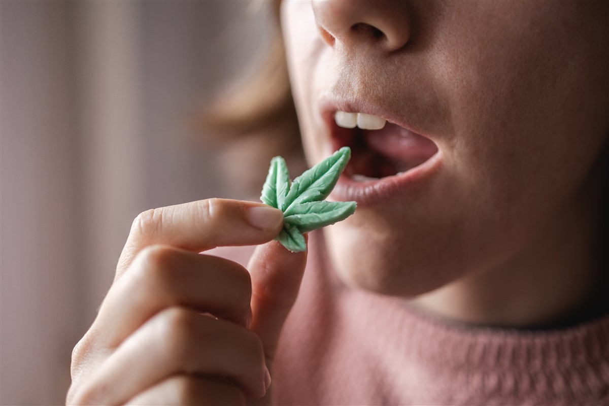 consommation cbd