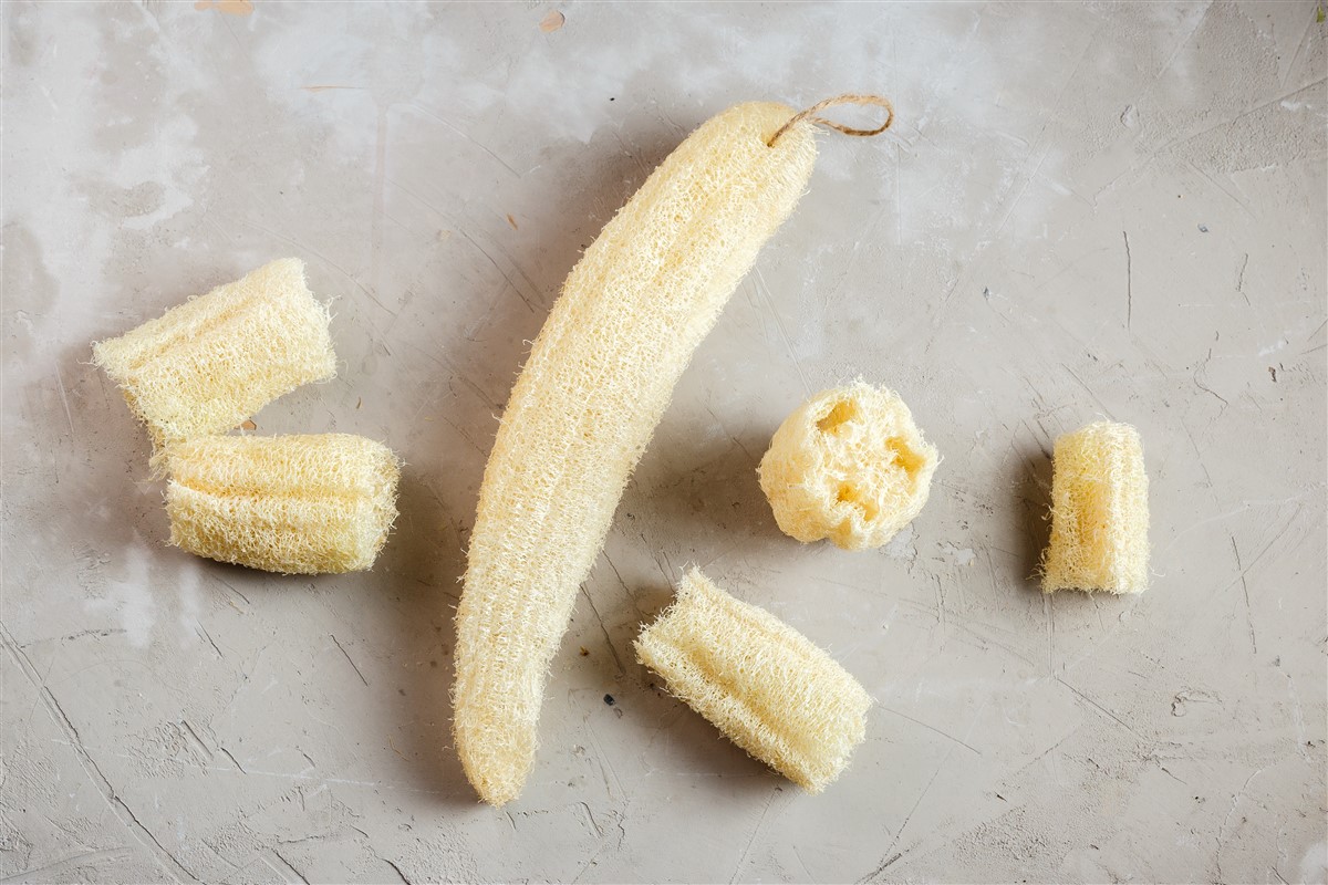 éponge de luffa