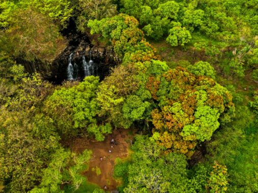 comparaison-aux-forets