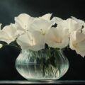 Découvrez les incroyables bienfaits de la fleur de lune