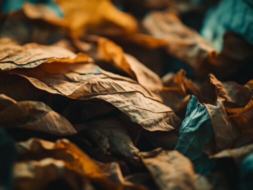 Pour se sevrer, consommer autrement sans additif avec le tabac FRED
