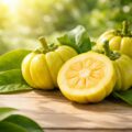 découvrez comment le garcinia cambogia peut améliorer votre santé grâce à ses bienfaits naturels pour la perte de poids, la digestion et le bien-être général.