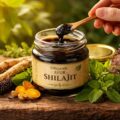 découvrez les bienfaits exceptionnels de l'ayur shilajit bio pour améliorer votre santé naturellement et renforcer votre vitalité au quotidien.