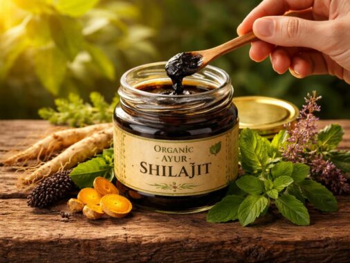 découvrez les bienfaits exceptionnels de l'ayur shilajit bio pour améliorer votre santé naturellement et renforcer votre vitalité au quotidien.