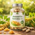 découvrez les bienfaits étonnants du boswellia serrata bio, ses vertus anti-inflammatoires et comment il peut améliorer votre bien-être au naturel.
