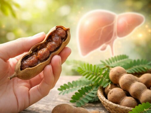 découvrez comment le tamarin favorise la santé du foie grâce à ses propriétés naturelles étonnantes et ses bienfaits exceptionnels pour votre bien-être.