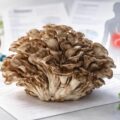 découvrez les contre-indications et effets secondaires du maitaké pour une consommation sûre et informée. tout ce que vous devez savoir avant d'utiliser ce champignon aux vertus médicinales.