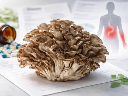 découvrez les contre-indications et effets secondaires du maitaké pour une consommation sûre et informée. tout ce que vous devez savoir avant d'utiliser ce champignon aux vertus médicinales.
